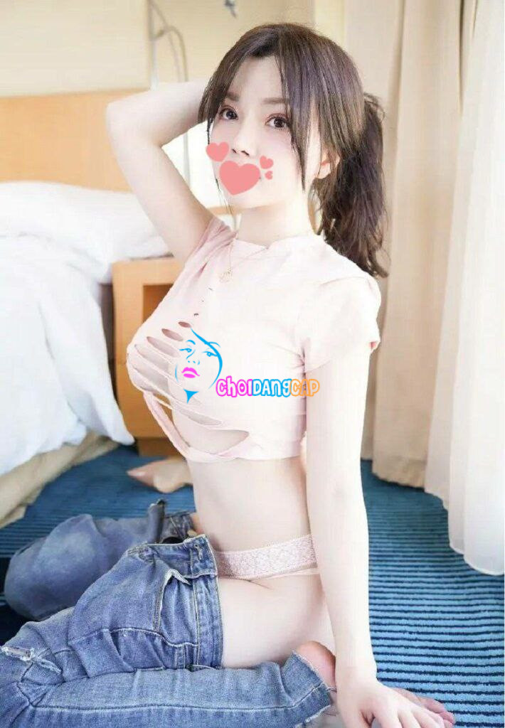 qq3 qq3