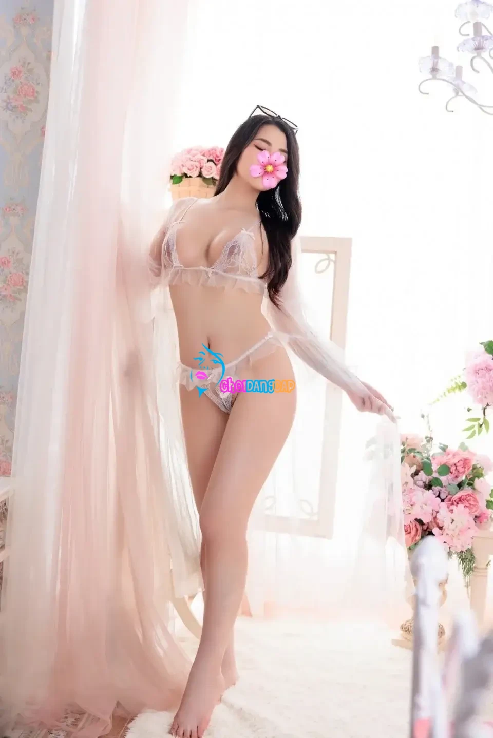 1213626.webp