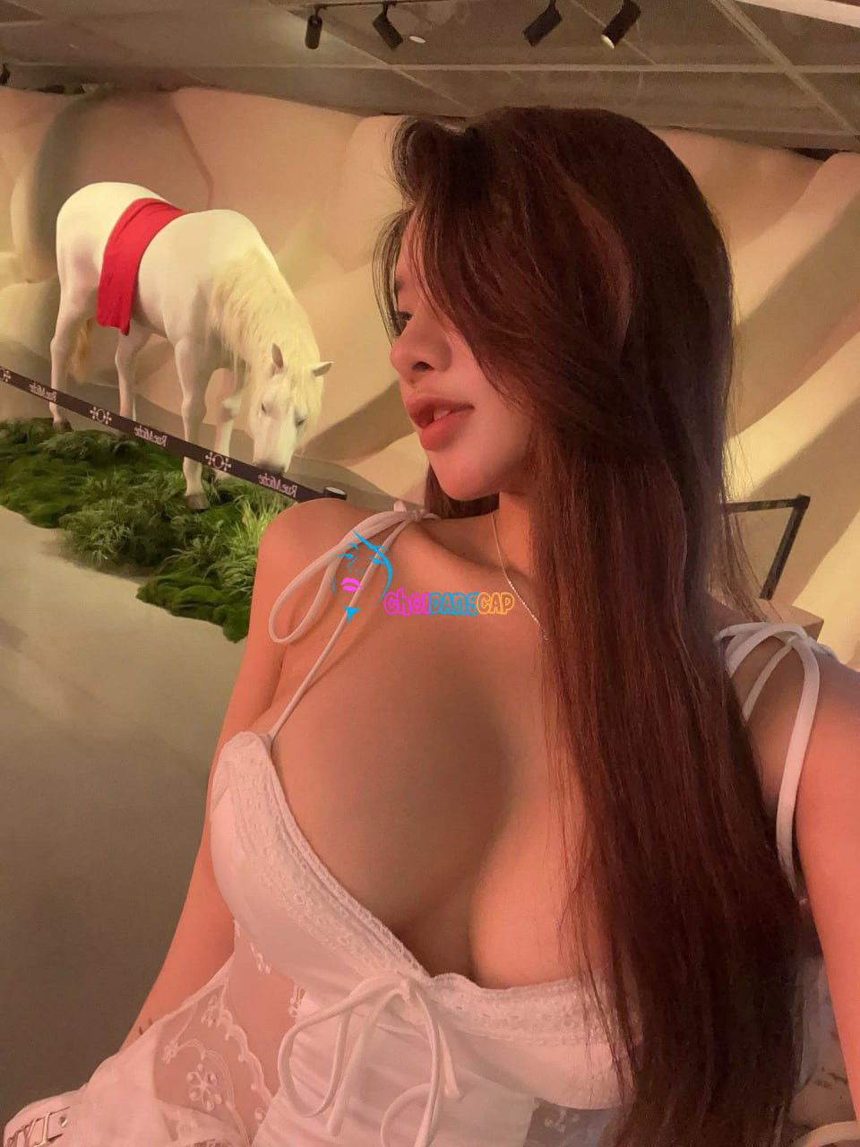 IMG 0910