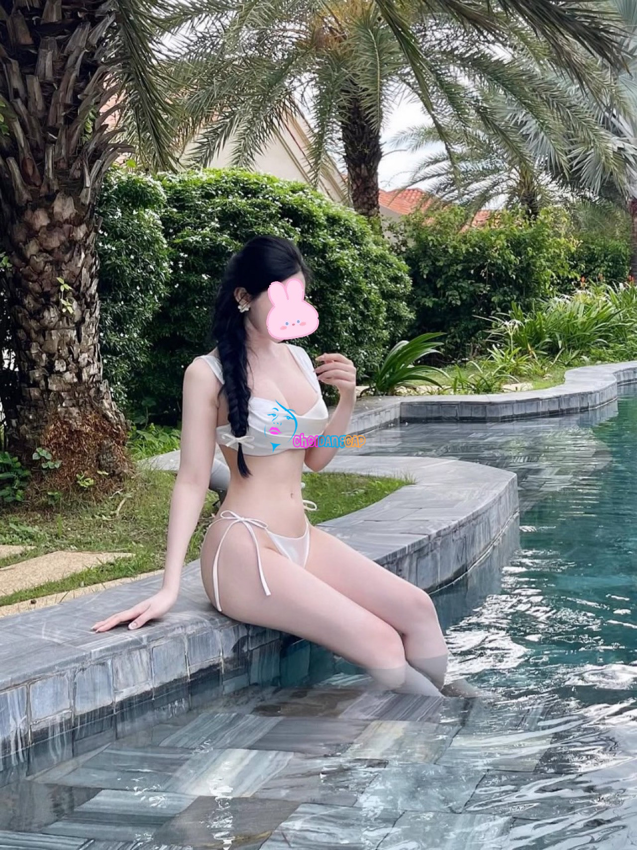 IMG 2954